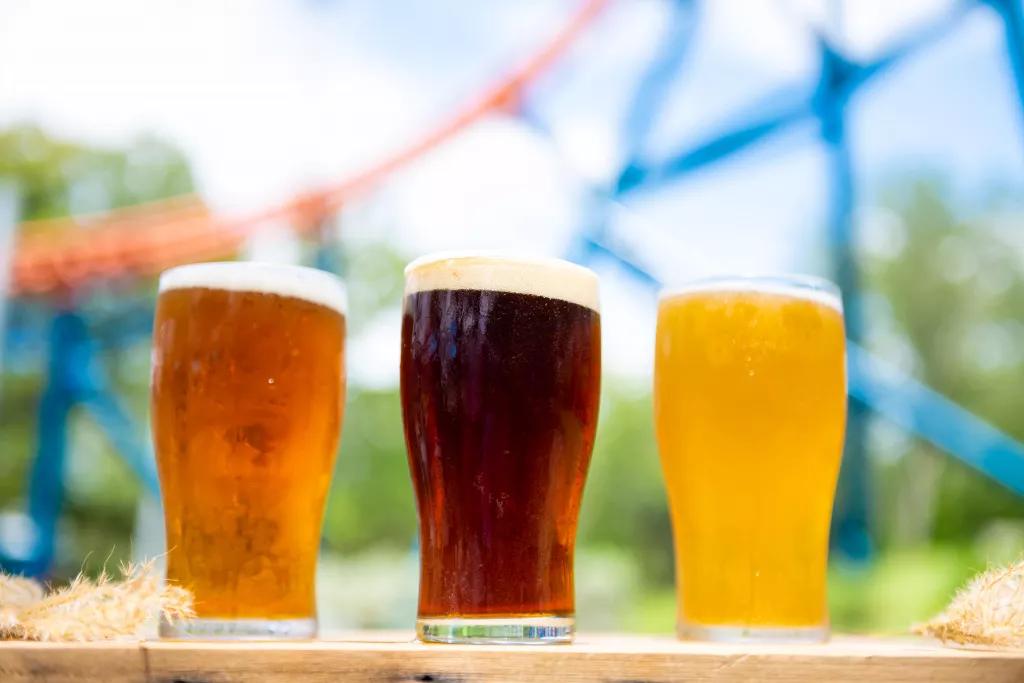 SeaWorld Craft Beer Festival 3 pints of different coloured beer on a table in front of a roller coaster