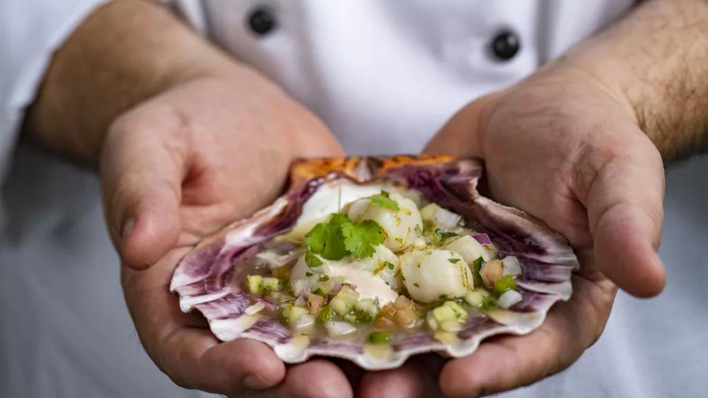 Key Lime Scallop Ceviche at Narcoossees A chef holding a scallop shell full of scallop ceviche in his hands