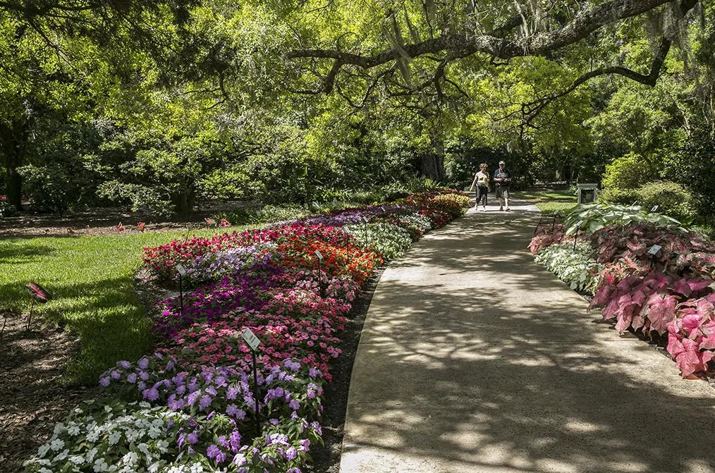 Leu Gardens Leu Gardens