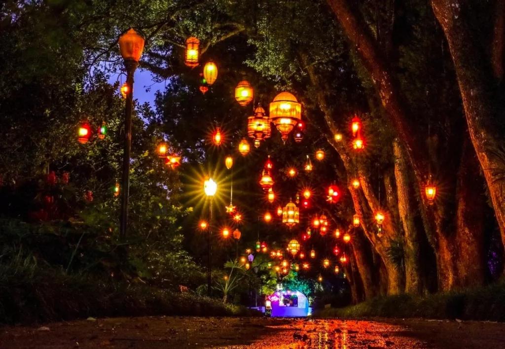 Dazzling Nights at Leu Gardens Dazzling Nights at Leu Gardens