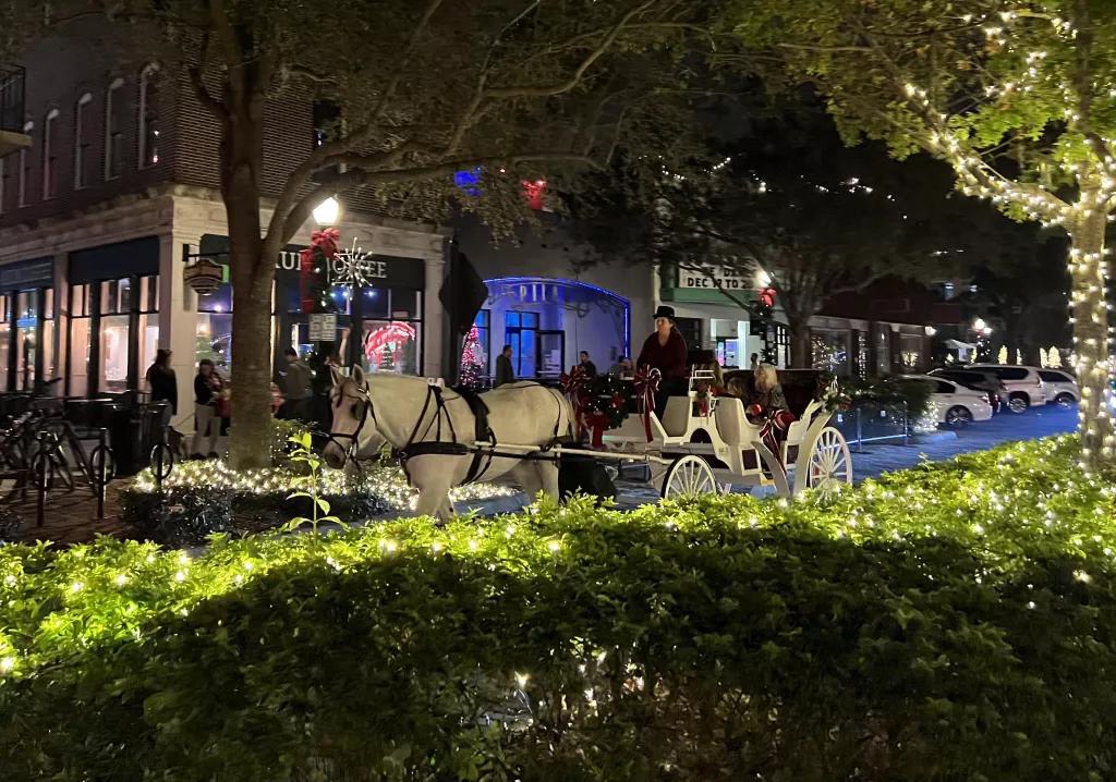 Winter Garden horse-drawn carriage rides Winter Garden horse-drawn carriage rides