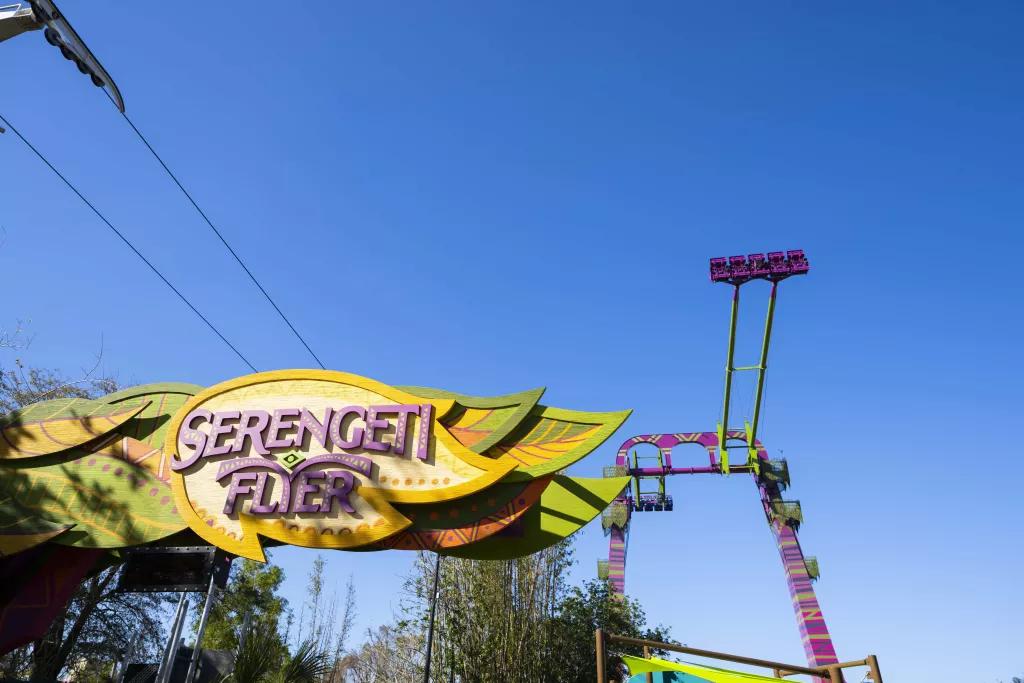 Serengeti Flyer Serengeti Flyer at Busch Gardens