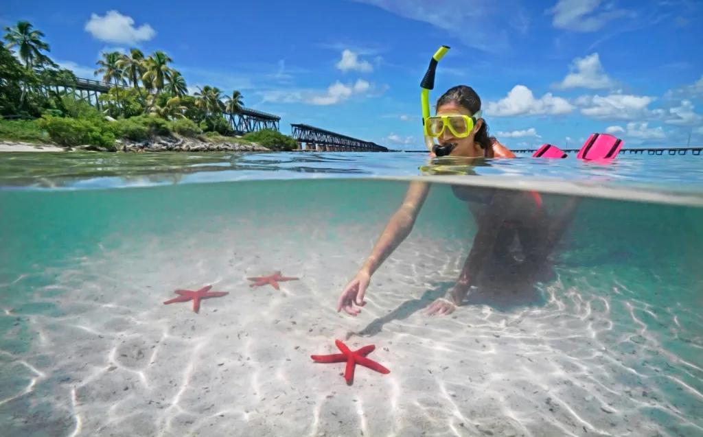 Snorkelling in the Florida Keys A girl wearing a yellow snorkel and pink flippers reaching into shallow water towards a pink starfish