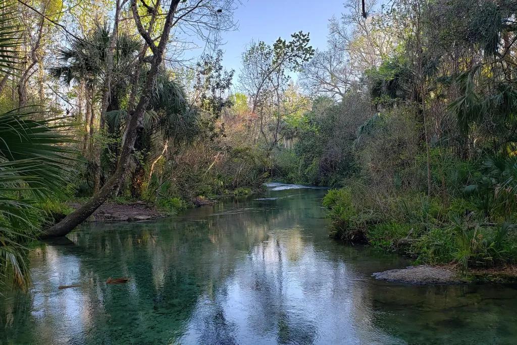 Kelly Park A river with lots of tropical green plants and trees covering its banks