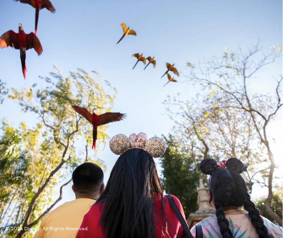 Disney's Animal Kingdom Theme Park Three guests stood looking up at the sky surrounded by trees, two girls wearing different Mickey ears and one man. Flying above them are various different coloured birds.
