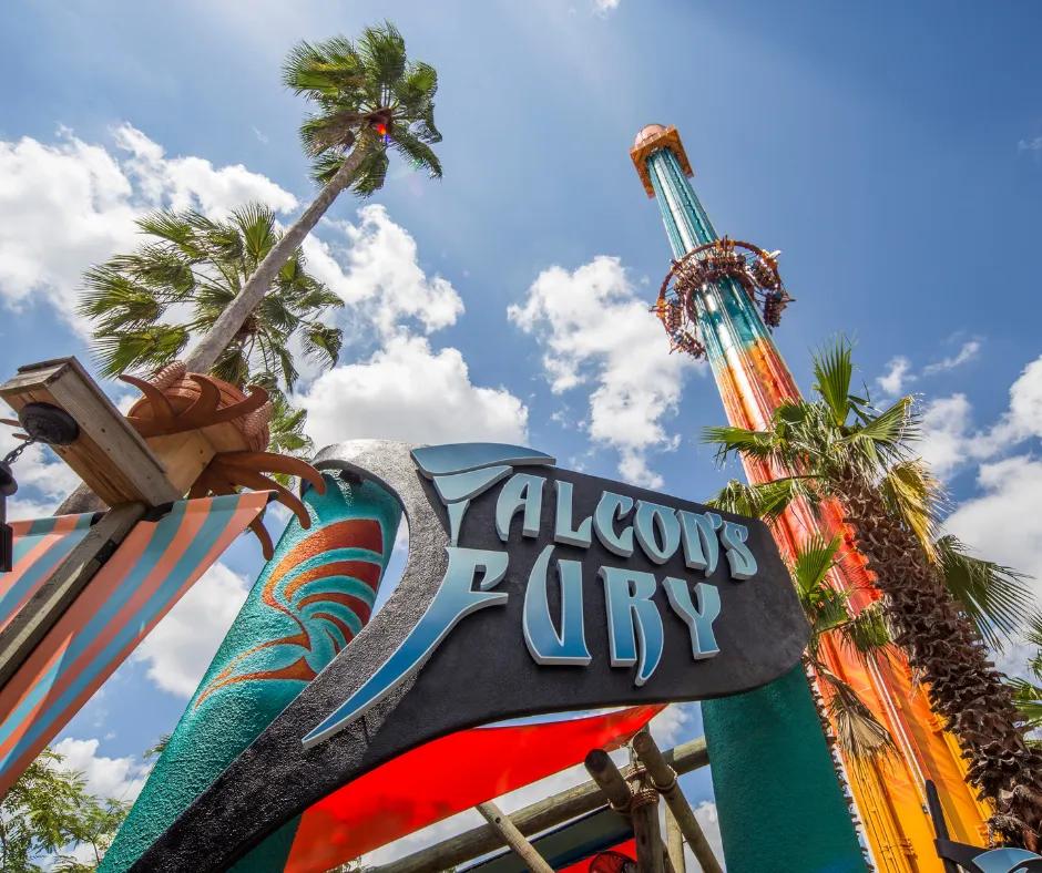 Falcoln's Fury at Busch Gardens Tampa Bay A tall drop tower ride coloured yellow, orange and blue in motion with a sign in front saying 'Falcoln's Fury' next to palm trees.