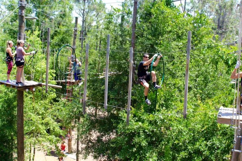 Orlando Tree Trek Guests experiencing Orlando Tree Trek