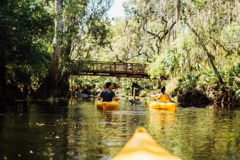 The Paddling Center guest in kayak's paddling through river