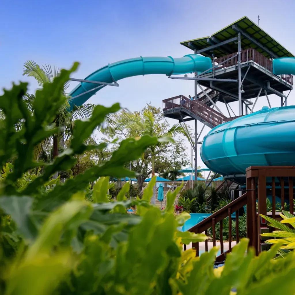 Wasserrutsche Tassie's Underwater Twist in Aquatica Orlando Wasserrutsche Tassie's Underwater Twist in Aquatica Orlando