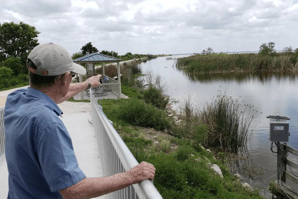Florida Nature An old man looking out at a swamp and pointing into the distance
