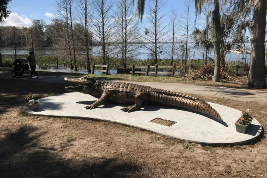 Old Joe Alligator A bronze statue of an alligator on a grass bank