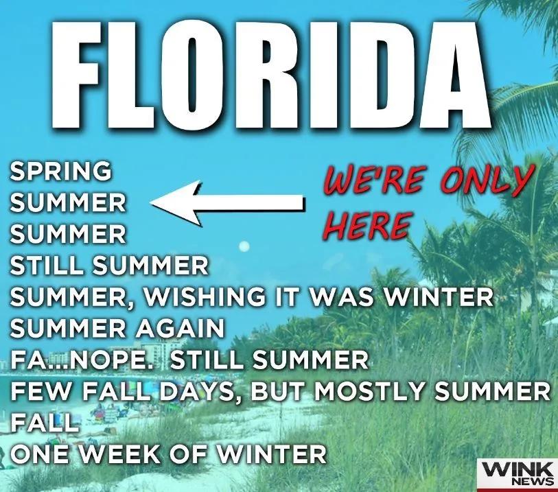Florida Weather Meme Florida Weather Meme