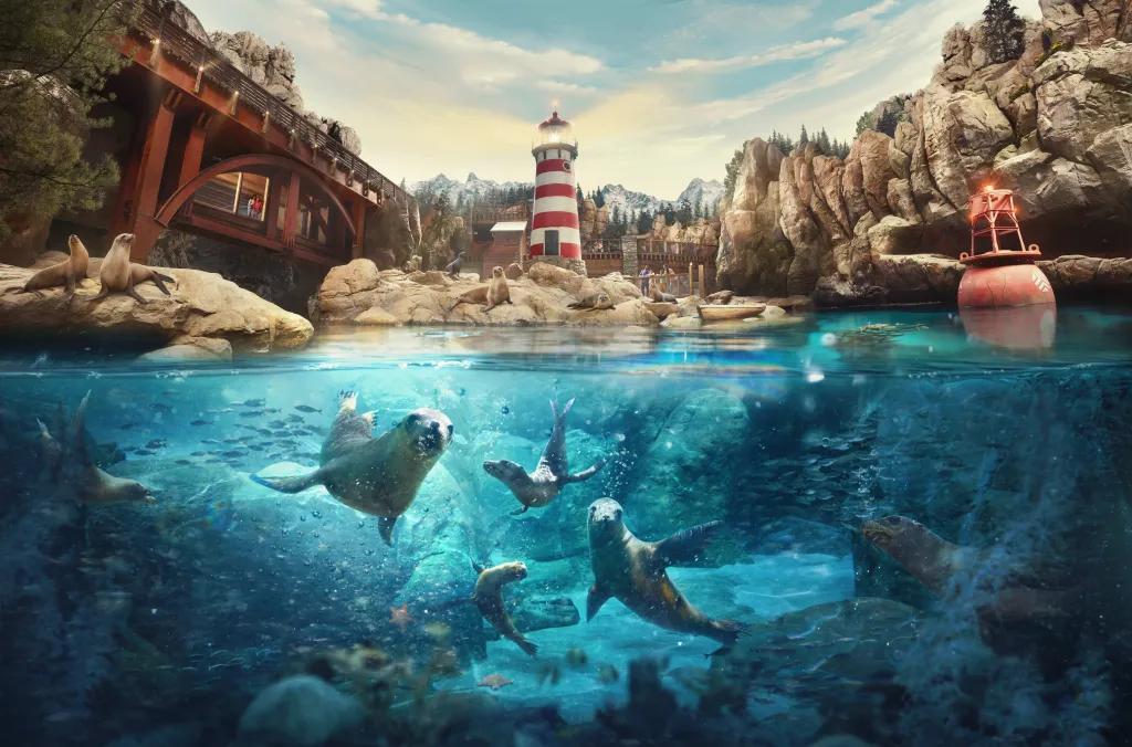 SeaWorld Yas Island Image of sealions and fish swimming in clear blue water around coral reefs and half the image above water showing the large rocks surrounding the pool, the white and red lighthouse and a large red bridge.