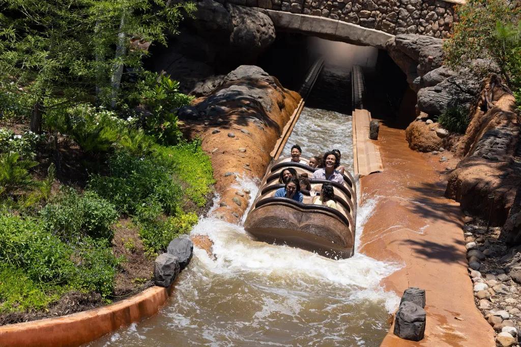 Tiana's Bayou Adventure Drop People in a log shaped boat at the bottom of a log flume drop