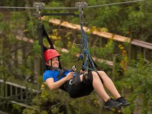 gator-gauntlet-zipline