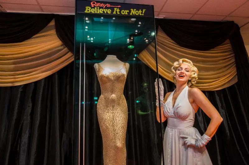 Ripley's Believe It Or Not There is a glass case in front of a large grand black and gold curtain. In the glass case is an iconic dress worn by Marilyn Monroe which is nude coloured and full length with diamonds encrusted on it. Next to the dress is a woman dresses as Marilyn Monroe, with a white iconic halter neck dress, white gloves and blonde hair in tight curls.