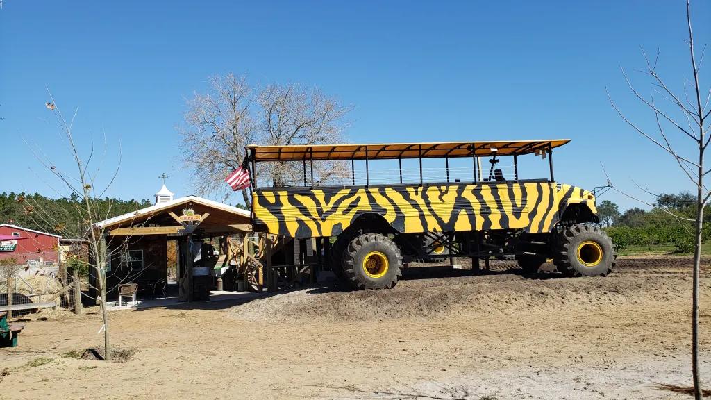 Tour in Florida Dirt track with huge truck on painted with tiger stripes on. There is a wooden shack next to it with an American flag on it. Behind there are lots of trees.