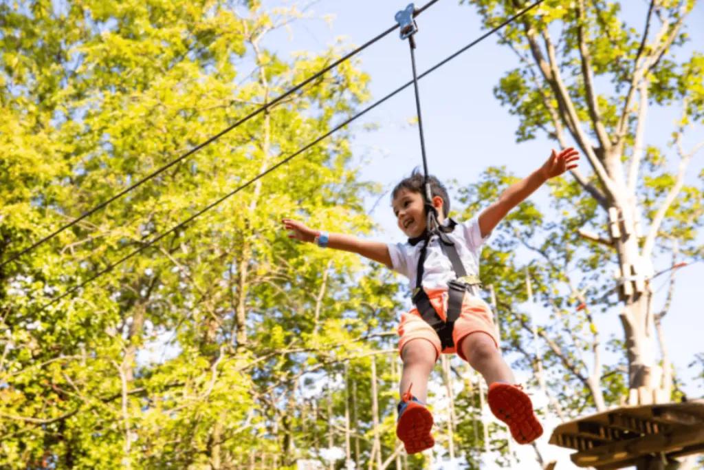 Go Ape Little boy on zip line dangling in the tree tops held by harness. He has a smile on his face and his arms reaching out wide.