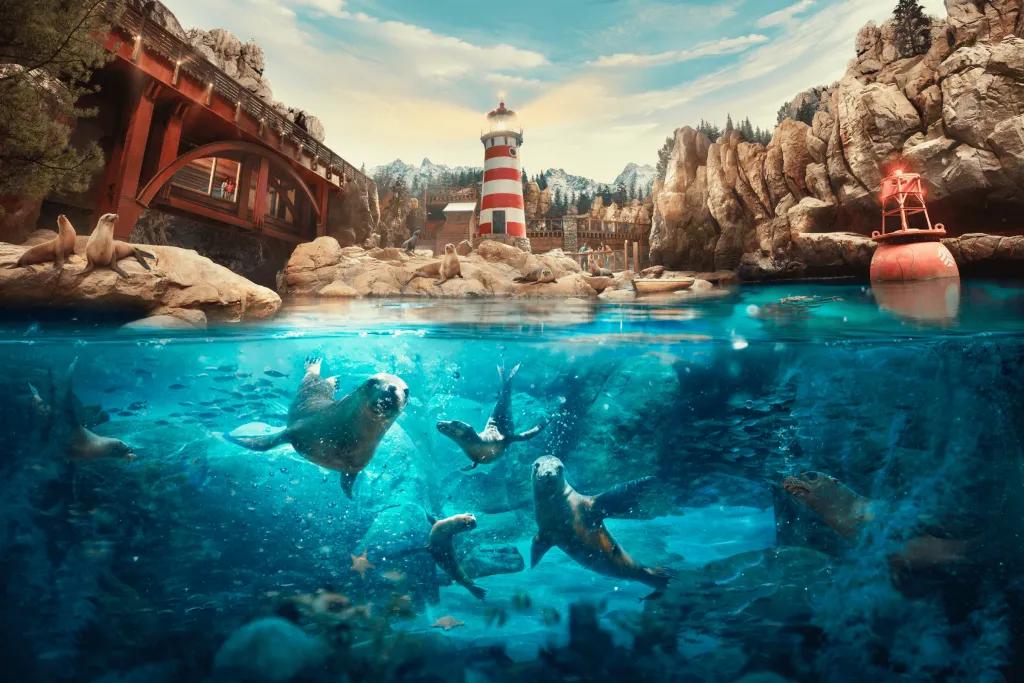 SeaWorld Abu Dhabi There are sea lions swimming through rock pool. There are also some sat on the rocks outside the pool. There is a white and red lighthouse in the background.