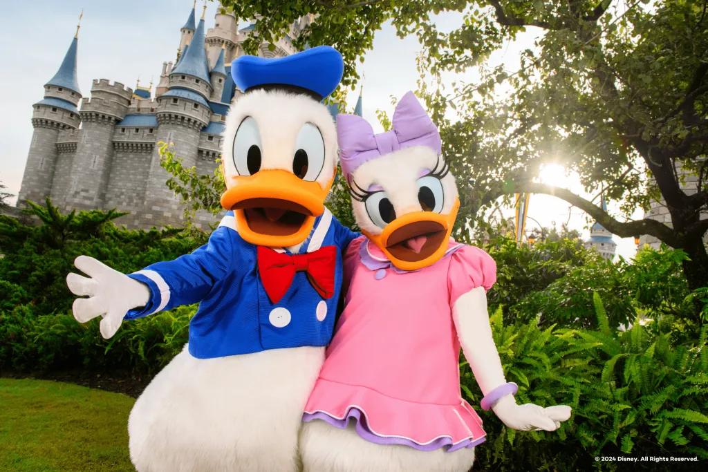 Donald and Daisy Duck Large white ducks called Daisy Duck and Donald Duck stood arm in arm in front of a large blue and pink castle.