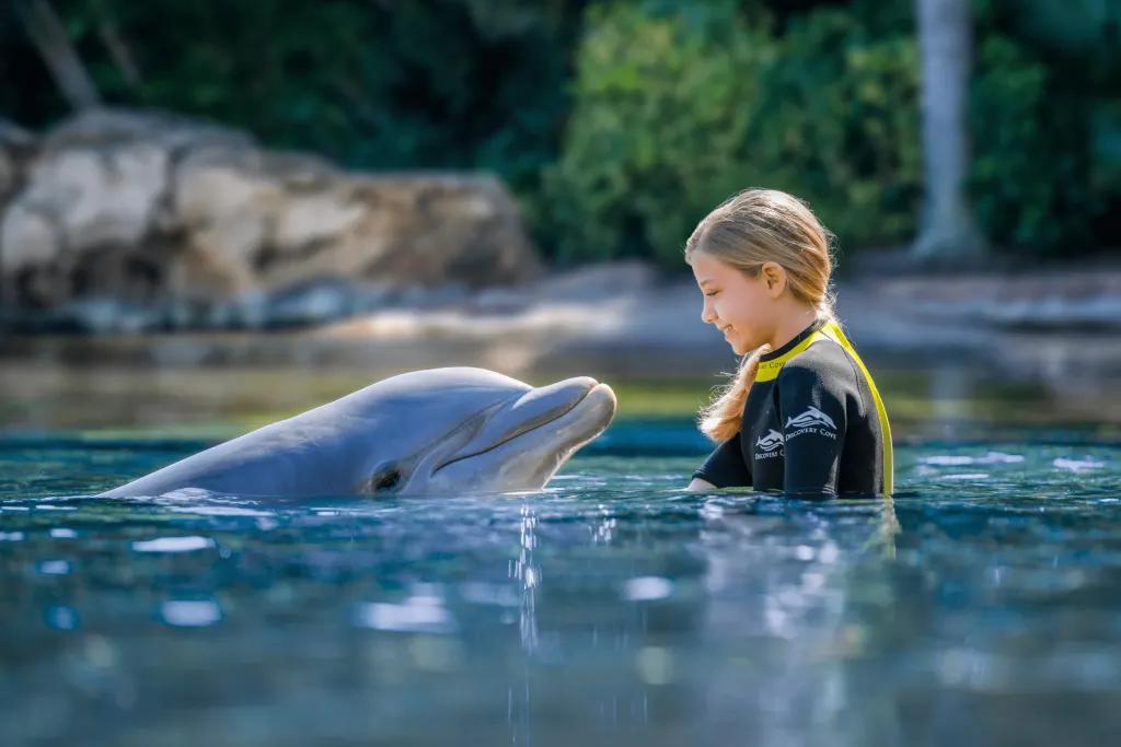 Discovery Cove Young girl in pool with a dolphin looking up at her. She is smiling.