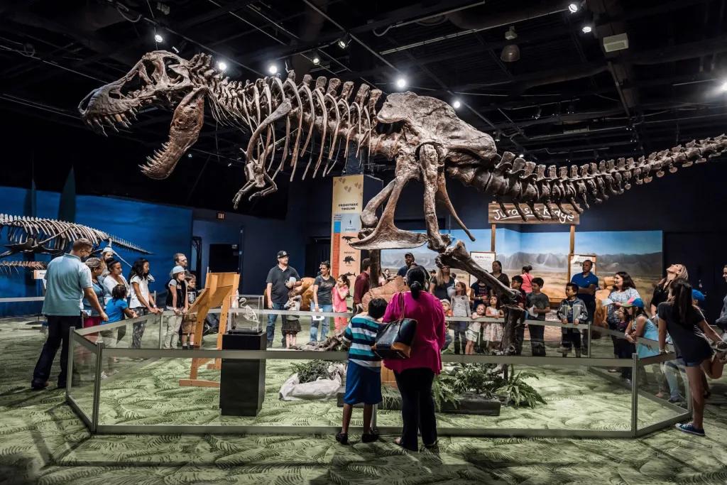 Orlando Science Center Group of people looking up at dinosaur (specifically T-Rex) skeleton stood up roaring.