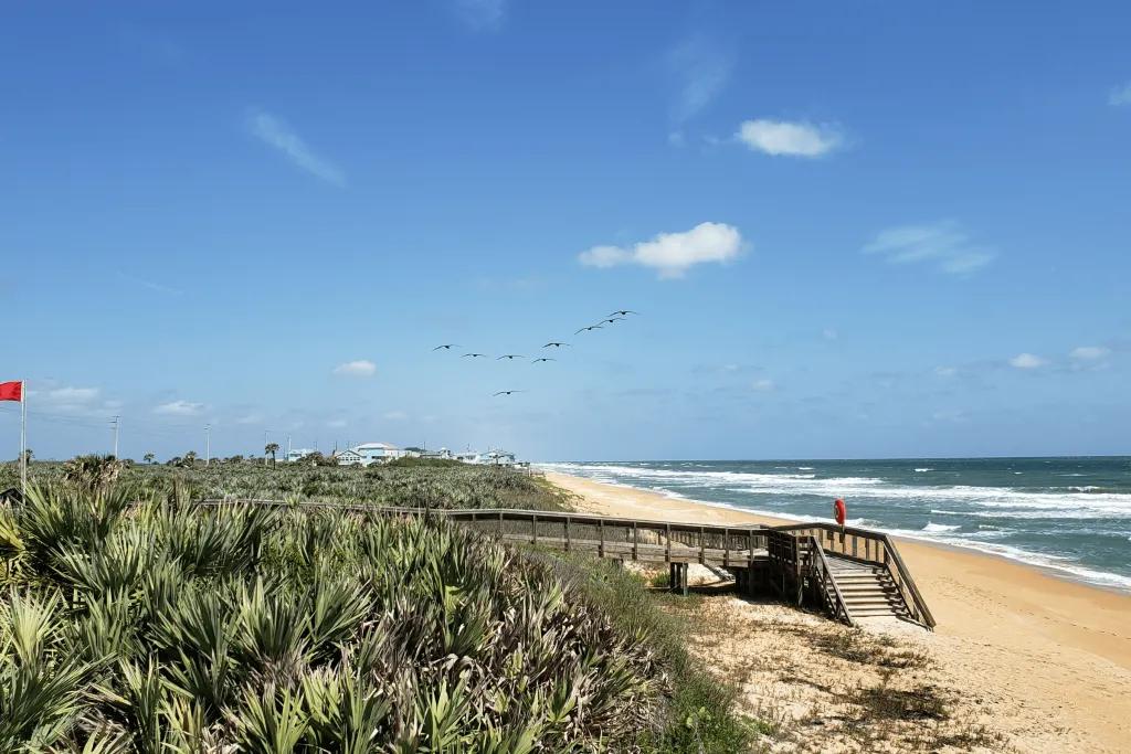 Flagler Beach A long, empty white and golden sand beach with birds flying over in a formation and the blue sea.