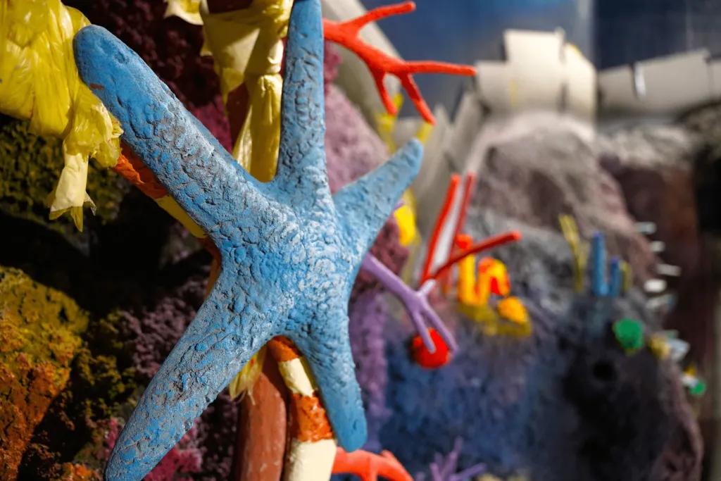 SEA LIFE Florida Starfish on the wall of aquarium with multicolour sea creatures.
