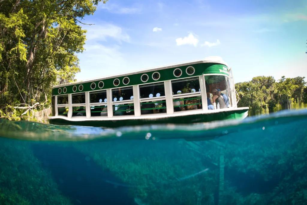 Silver Springs There is a medium sized green and white boat floating along the Crystal River and you can see under the water.