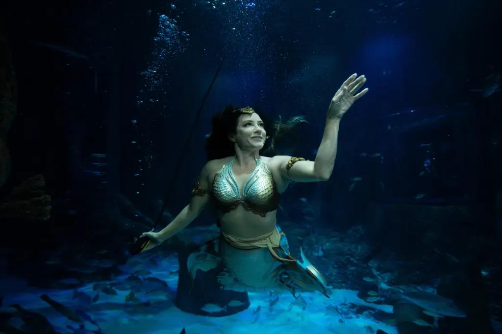 Mermaid at SEA LIFE Orlando Mermaid swimming in a dark tank with sea creatures swimming around.
