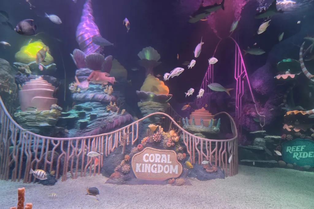 SEA LIFE Florida Aquarium tank with decorations in it with colourful coral reefs and a sign saying Coral Kingdom.
