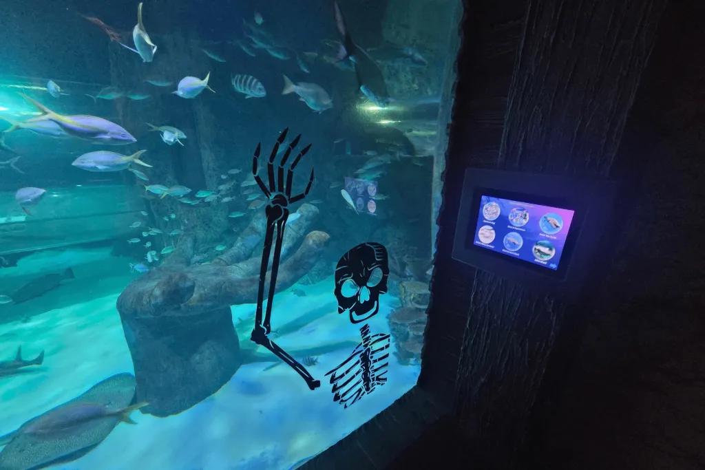 SEA LIFE Skeleton stuck on aquarium glass with fishes swimming in the background.