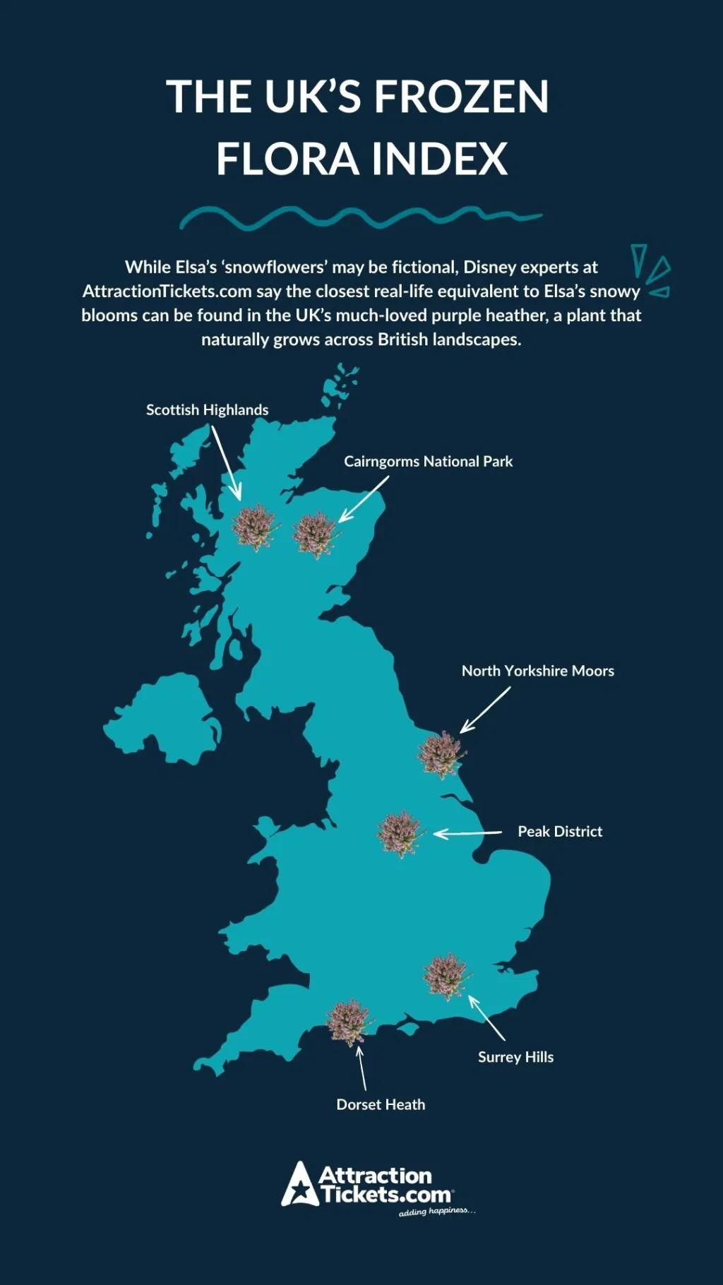  Gemini said A map of the UK highlighting the best locations to find purple heather, including the Scottish Highlands, North Yorkshire Moors, and Peak District.