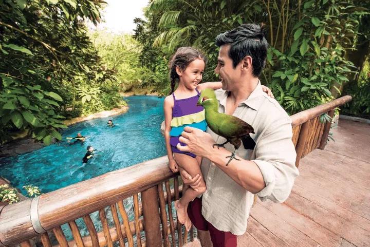 A father holds his daughter as a green bird perches on his hand at Explorer's Aviary, with swimmers in the lagoon behind them at Discovery Cove