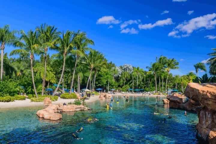 Guests snorkeling in the clear turquoise waters of The Grand Reef, surrounded by palm trees at Discovery Cove