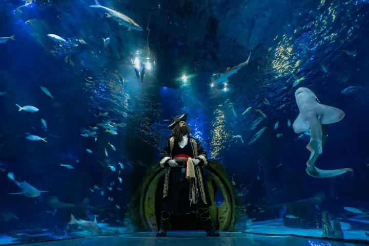 A pirate standing in an underwater aquarium tunnel surrounded by swimming fish and a shark