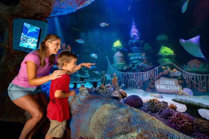 A woman and a young boy looking at fish and a stingray in the Coral Kingdom aquarium exhibit