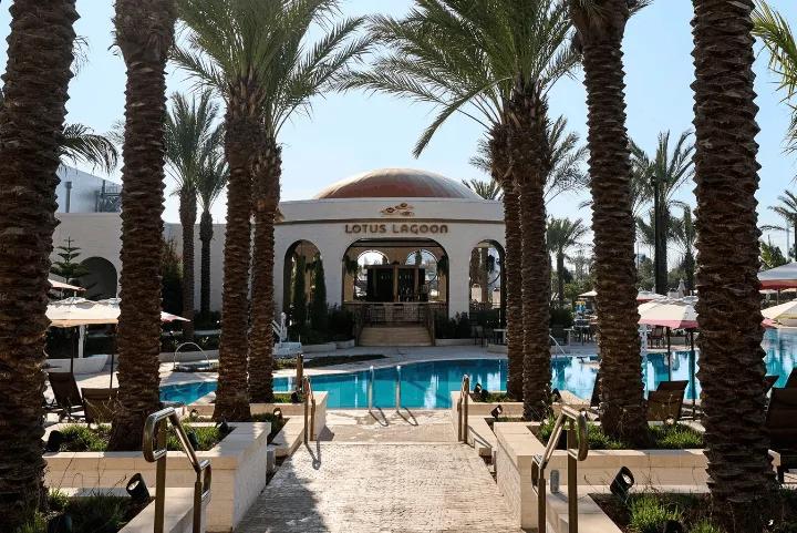 Pathway lined with palm trees leading toward the Lotus Lagoon pool bar and dome-roofed pavilion, with the pool visible