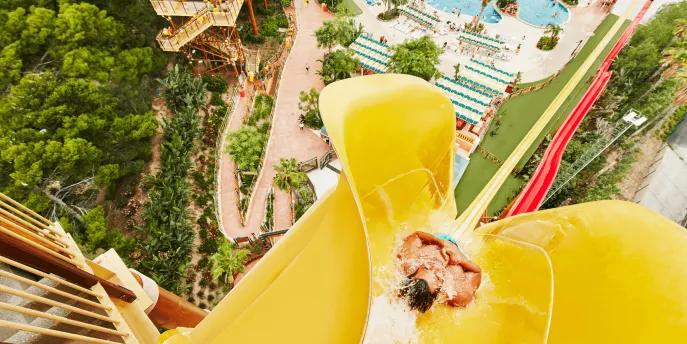 Birds eye view of man dropping down the top of a yellow vertical drop slide, beside there is a red which is smaller. There are pools below and walkways with people queueing for smaller waterslides.
