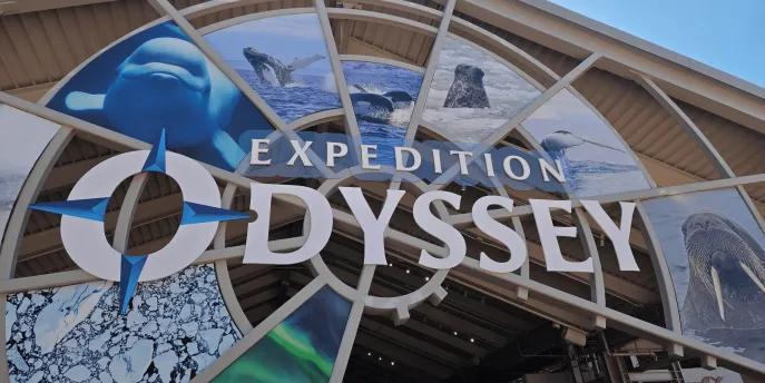 Expedition Odyssey Circular sign which says "Expedition Odyssey" with images of different animals in the background including a beluga whale, humpback whale and more!