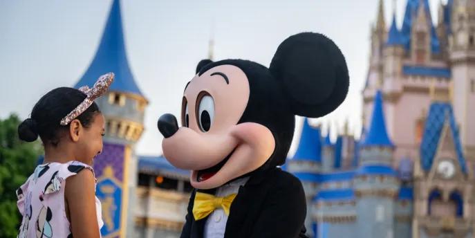 Mickey Mouse Degree Mickey Mouse Degree