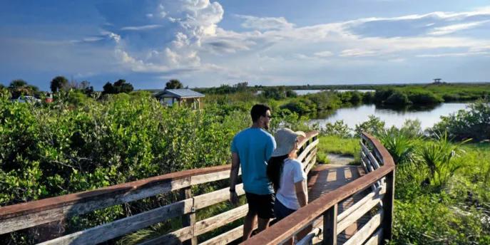 National park with wooden bridge leading out into water.