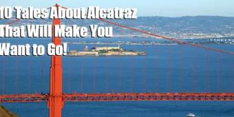 Ten Reasons Why Alcatraz Rocks! 