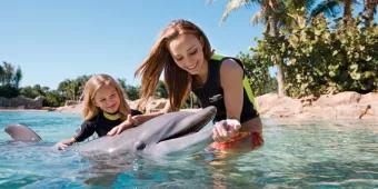 Top 10 Animal Encounters in Orlando 