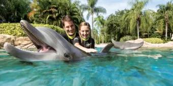 Discovery Cove: Jetzt auch autismusgerecht!