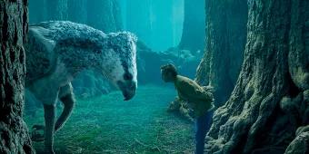 Jetzt neu: Forbidden Forest in den Harry Potter Warner Bros. Studios Jetzt neu: Forbidden Forest in den Harry Potter Warner Bros. Studios