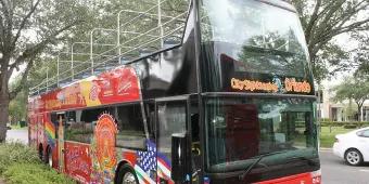 An Open-Top Bus Tour? Why Not! An Open-Top Bus Tour? Why Not!
