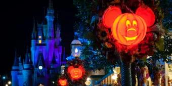 Herbst in Orlando Herbst in Orlando