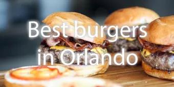 Best Burger at the Orlando Parks Best Burger at the Orlando Parks