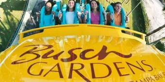 Busch Gardens Busch Gardens